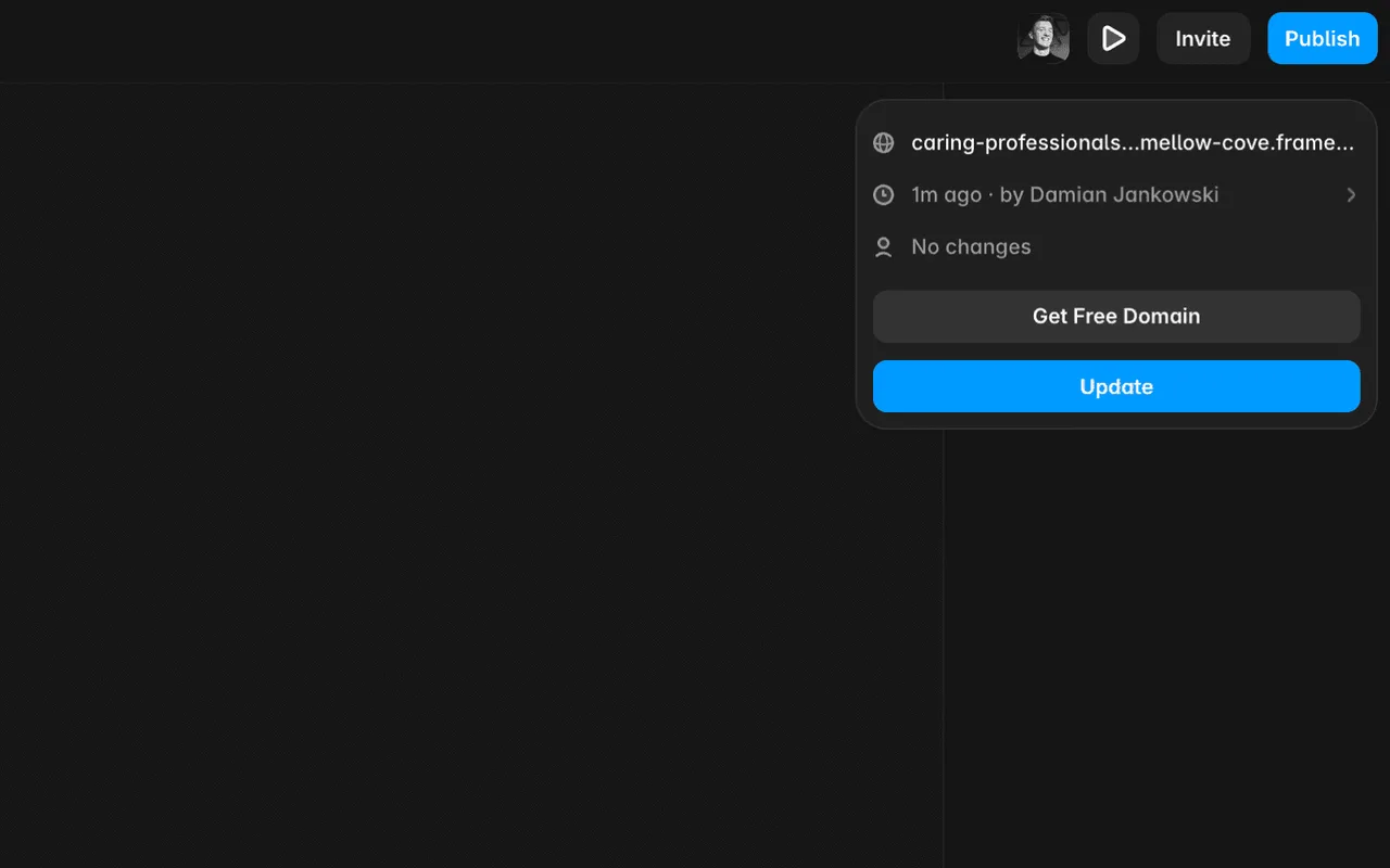 Screenshot of a web publishing interface showing a custom domain settings dropdown. Details include the current domain URL, a timestamp for the last update.