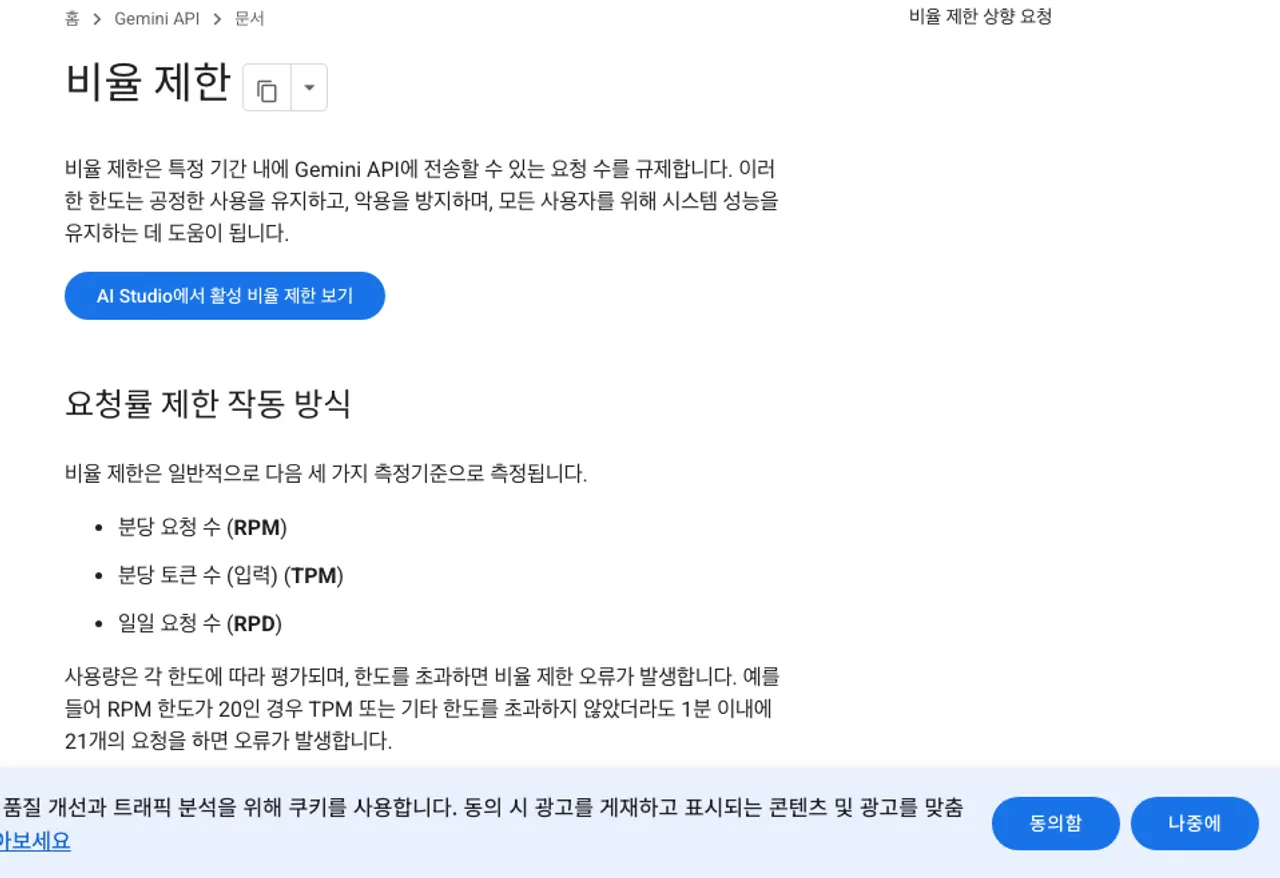 이 단계와 관련된 Google AI for Developers 공식 제품 화면